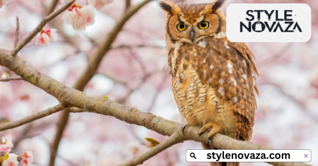 Japanese Owl: Eastern Mystique